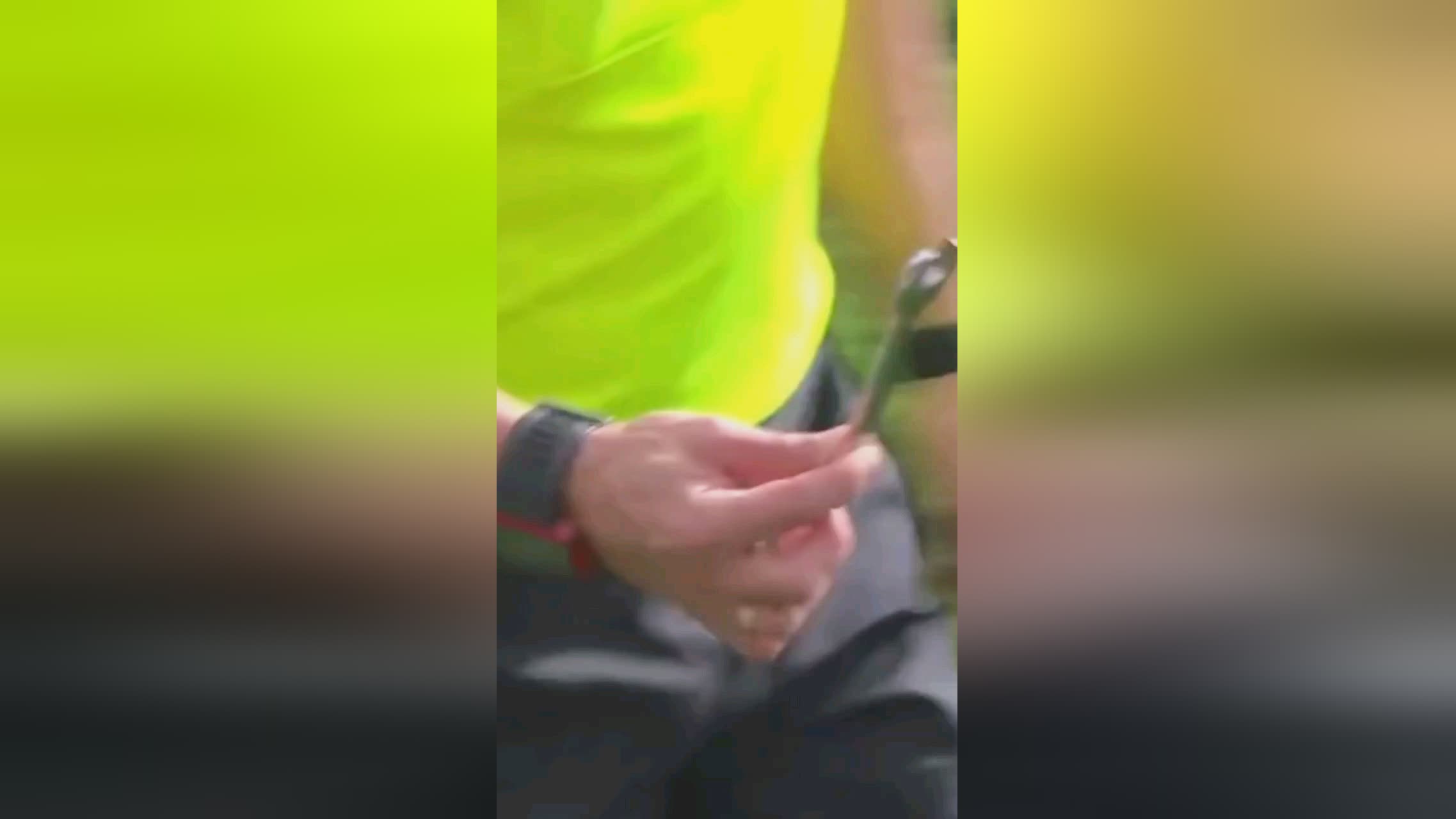 是一种