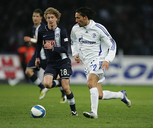 的参与度 的参与度